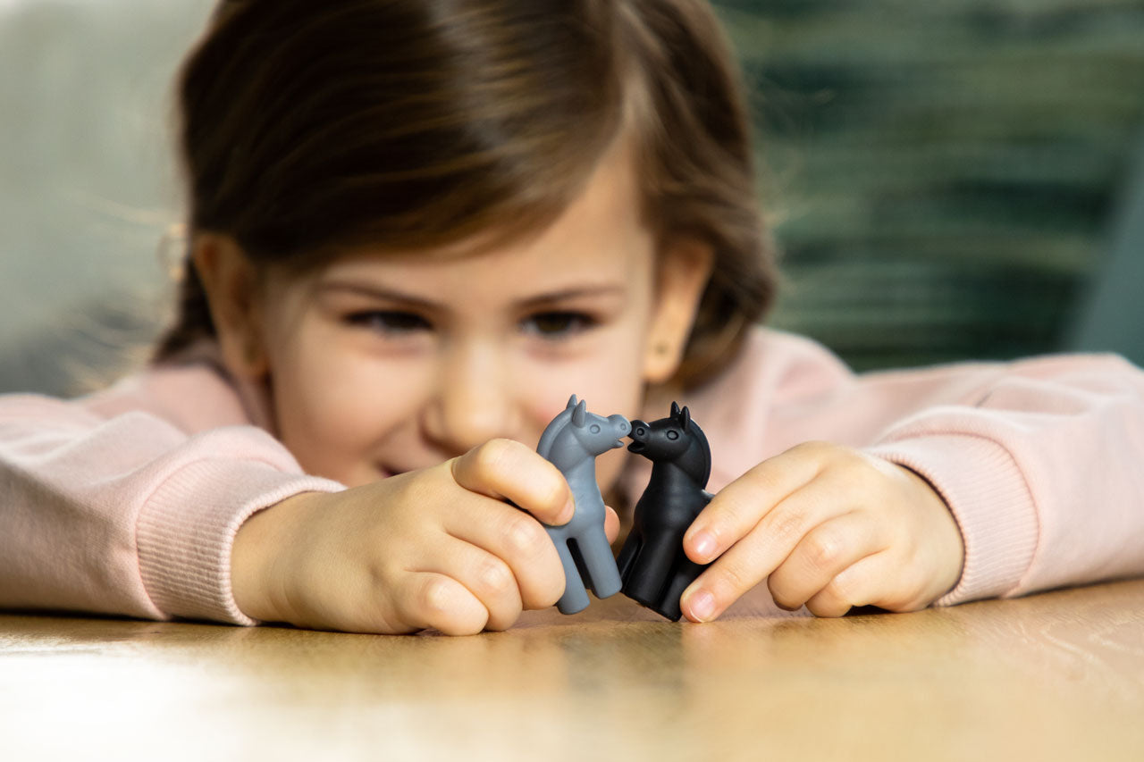 Boutique Petites Fleurs - IL ÉTAIT UNE FERME- Smart Games