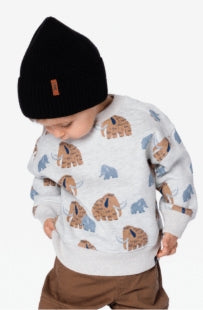 Sweatshirt Mammouth H20S31