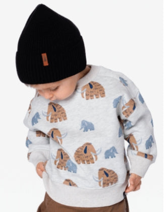 Sweatshirt Mammouth H20S31