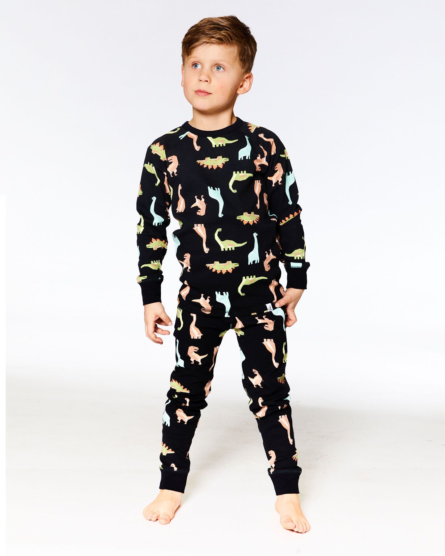 Boutique Petites Fleurs - Pyjama deux pièces imprimé dinosaures F20PB15 - Deux par Deux