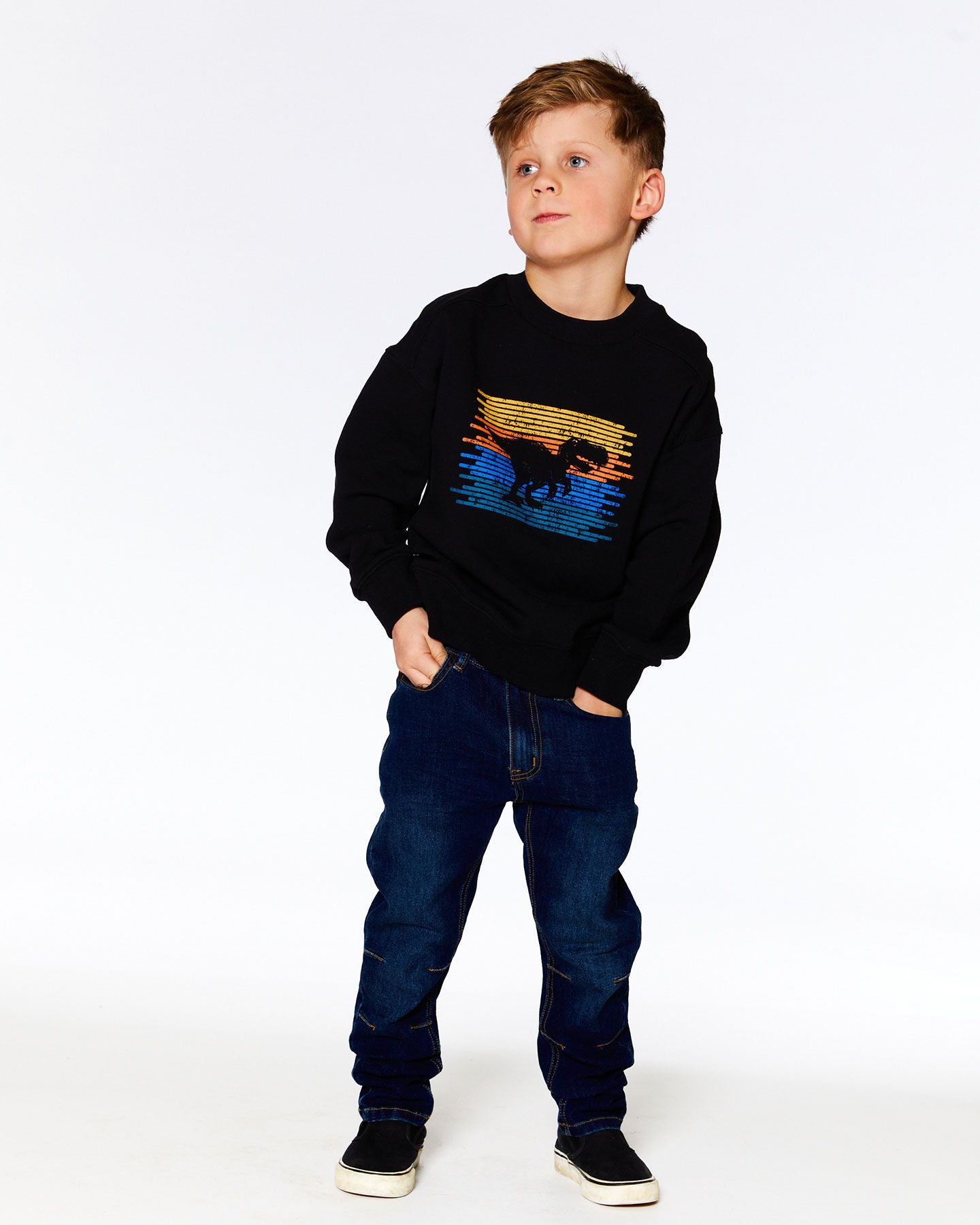 Boutique Petites Fleurs - Sweat en molletion noir dino F20U33 - Deux par Deux