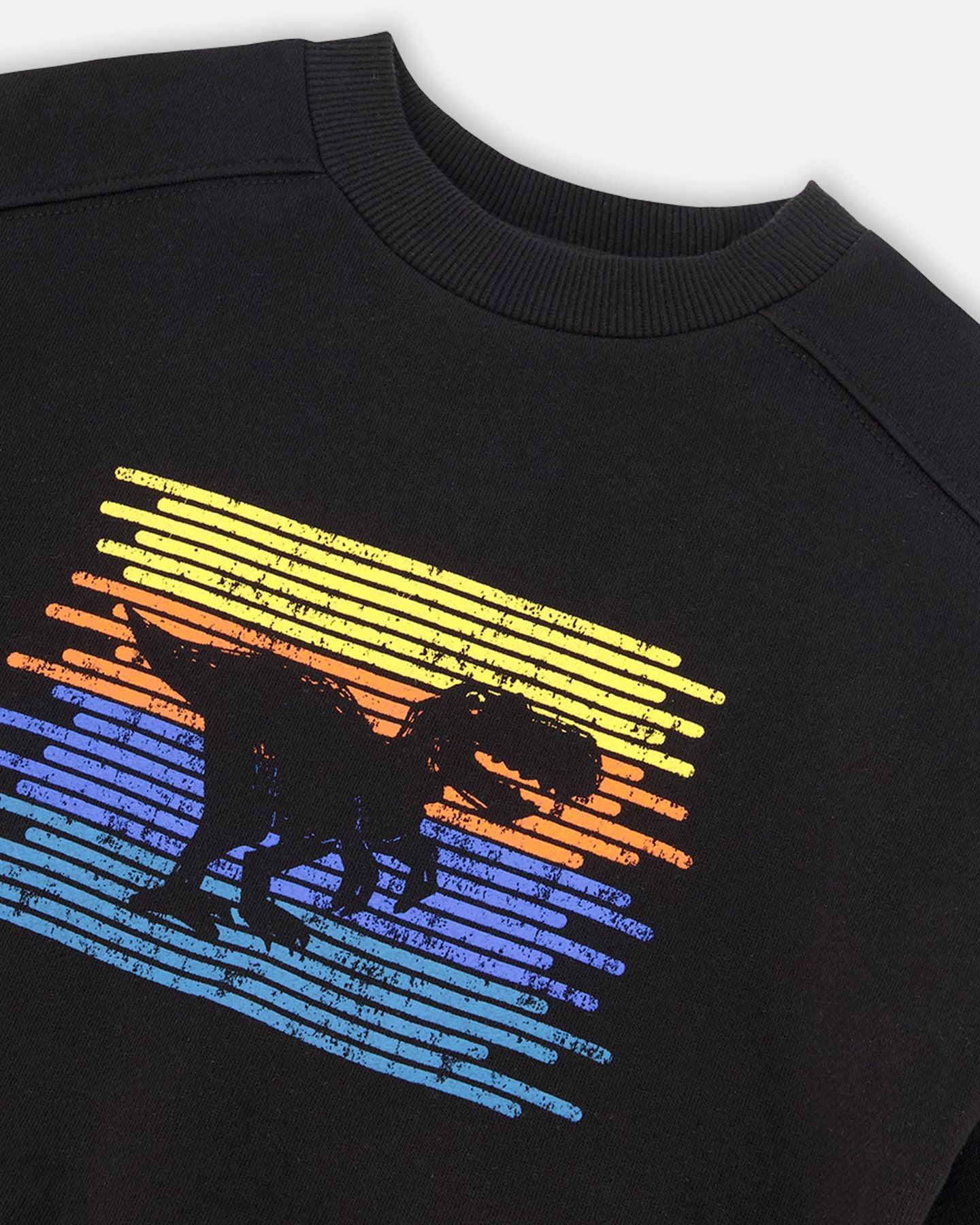 Boutique Petites Fleurs - Sweat en molletion noir dino F20U33 - Deux par Deux