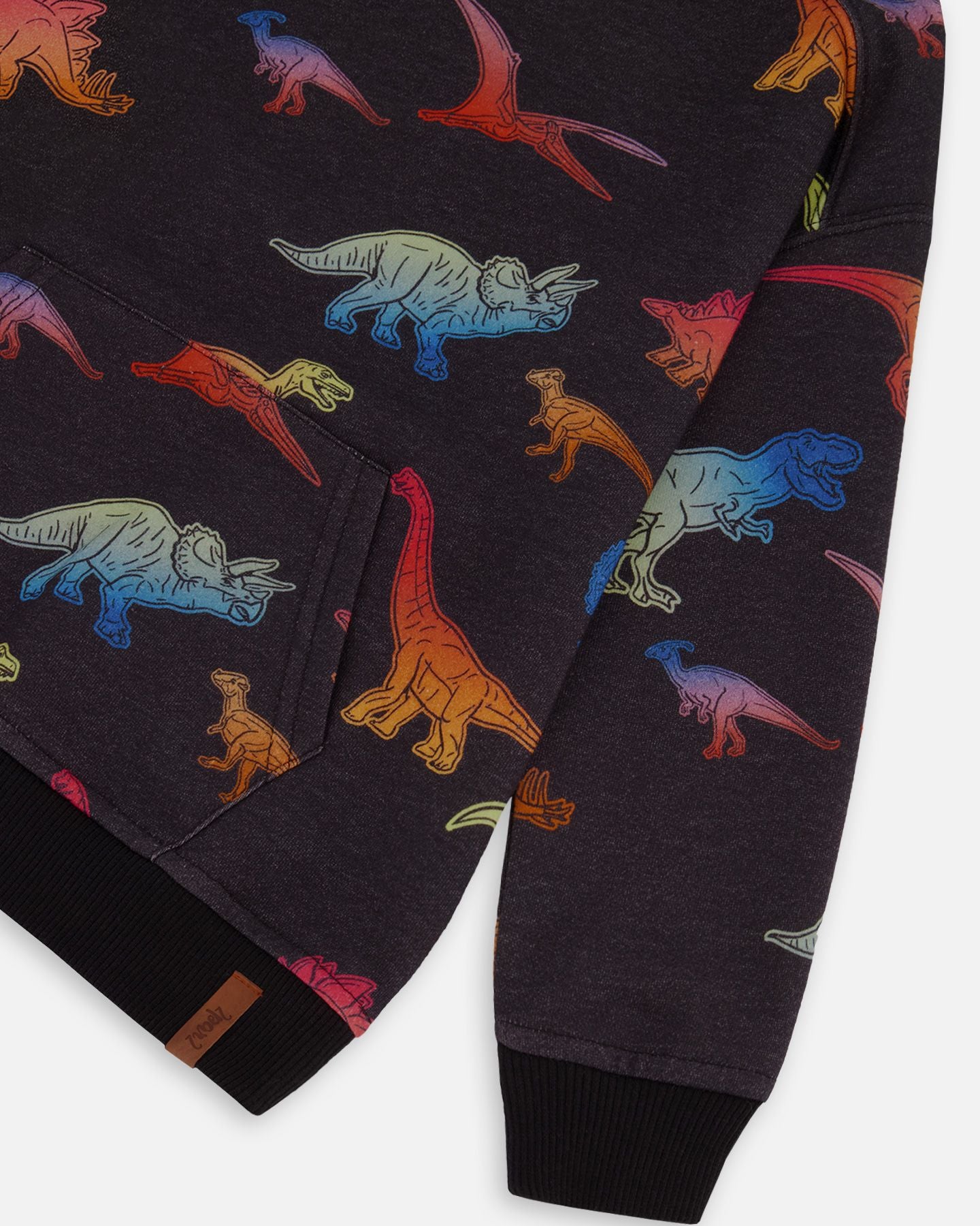 Boutique Petites Fleurs - Sweat à capuche noir avec imprimé dinosaures F20U363 - Deux par Deux