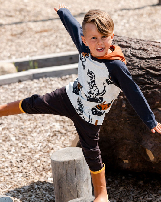 Tee-shirt à capuche beige chiné & gris ébène dinosaure F20U77