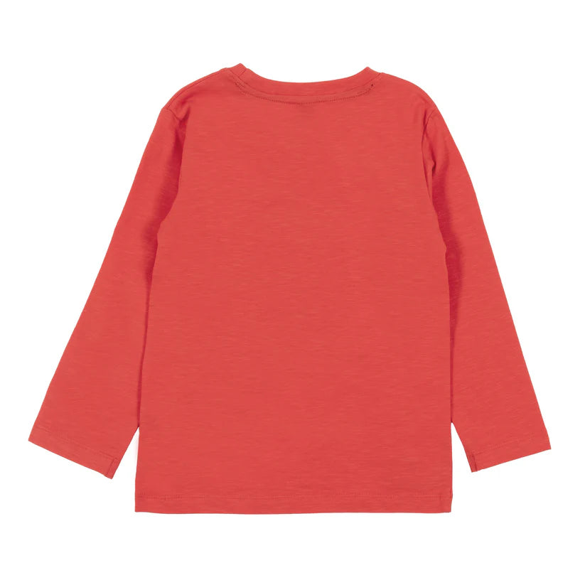 Boutique Petites Fleurs - T-shirt à manches longues Nature sauvage F2405-06 - Nano