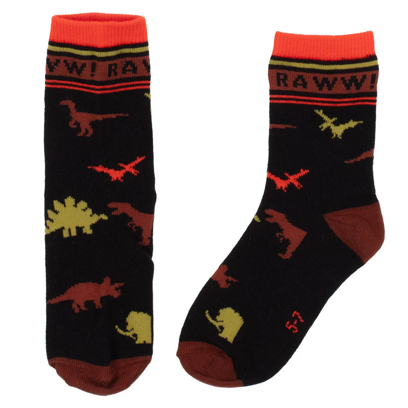 Boutique Petites Fleurs - Chaussettes Bébé Garçon Sois curieux F2455-20 - Nano
