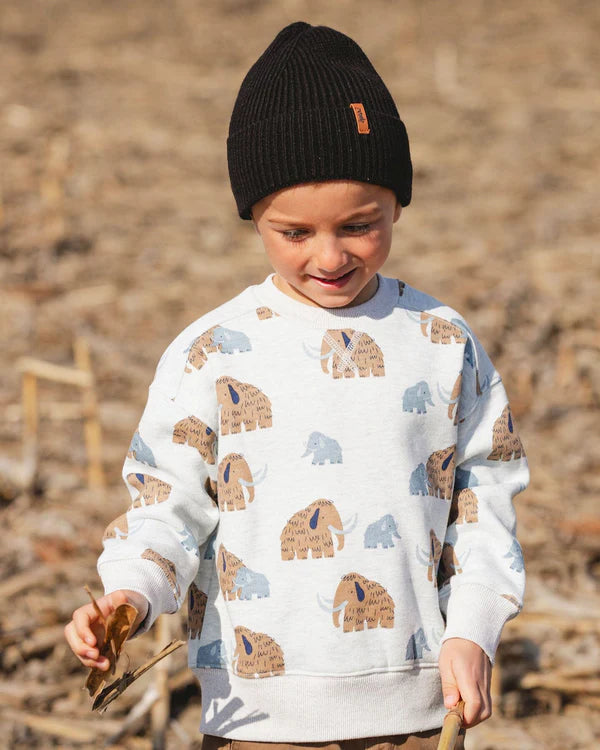Sweatshirt Mammouth H20S31