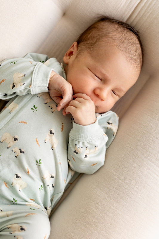 Pyjama Coccoli pour bébé Moutons PZM5922