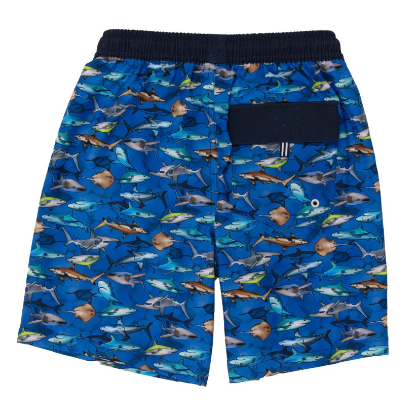 Short maillot uv Royal S24s201-08