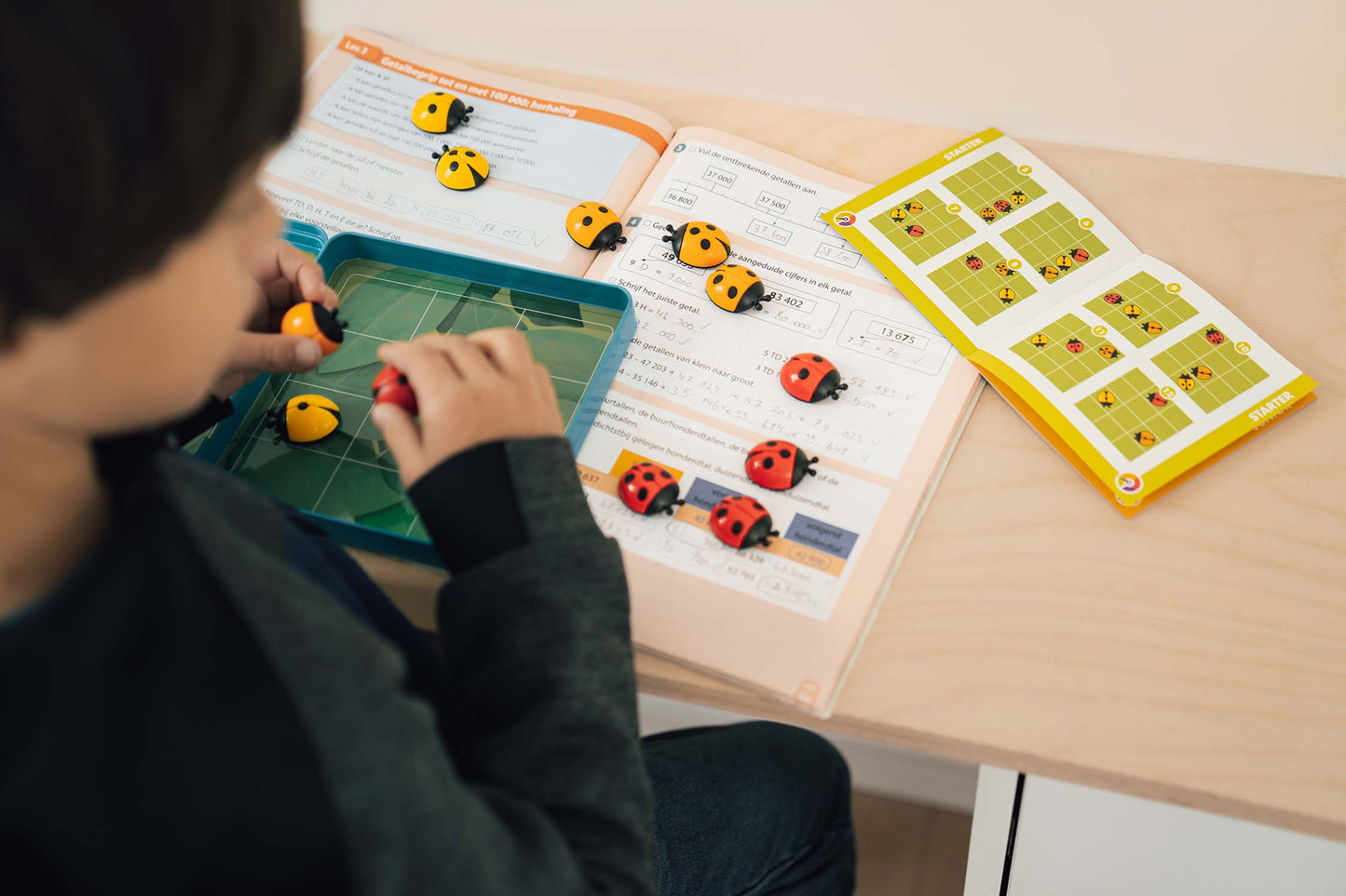 Boutique Petites Fleurs - coccinelles demoiselles - Smart Games