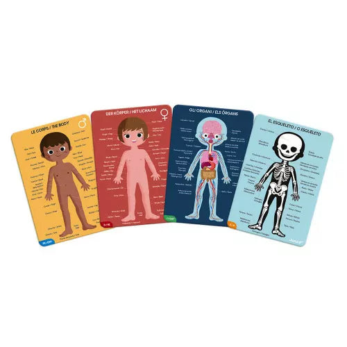 Boutique petites fleurs - Casse-tête éducatif - Le corp humain - janod