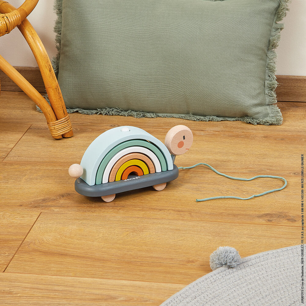 Boutique Petites Fleurs / Tortue Arc-en-ciel Sweet Cocoon / Janod