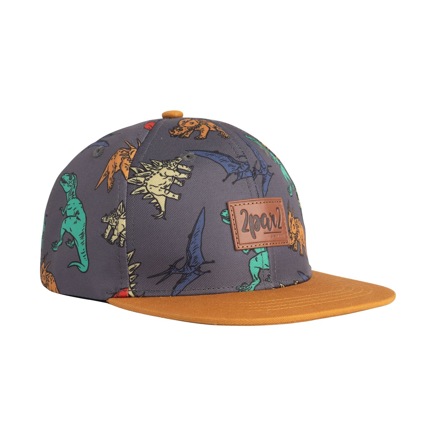 Casquette grise imprimée dinosaures multicolores E30VC41