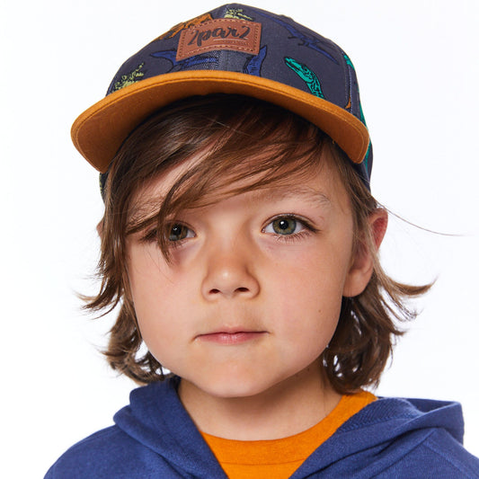 Casquette grise imprimée dinosaures multicolores E30VC41