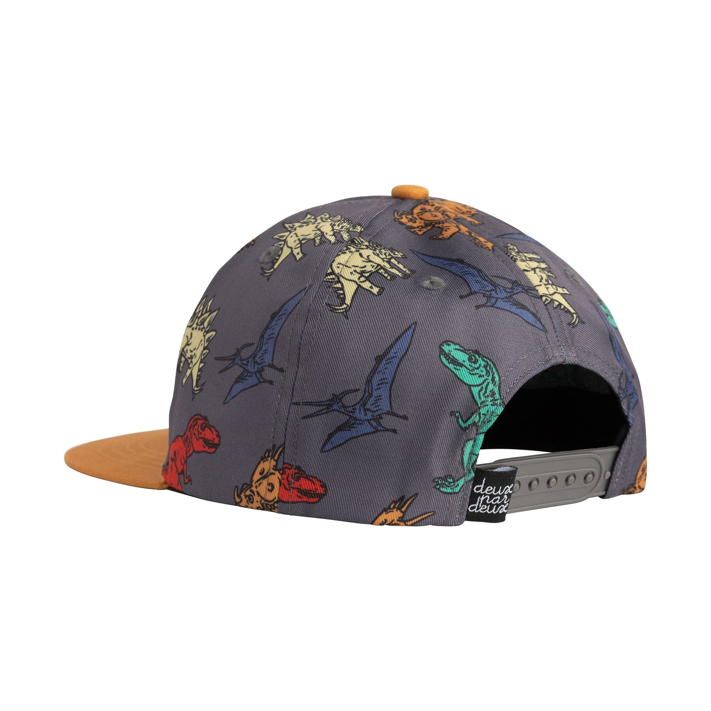 Casquette grise imprimée dinosaures multicolores E30VC41