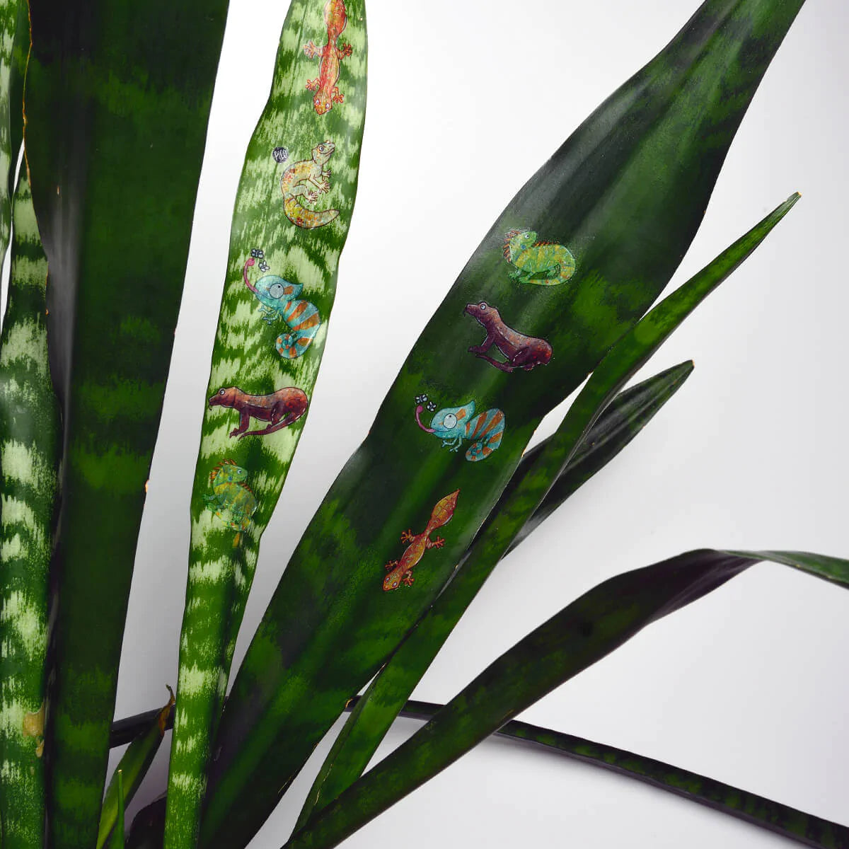 Boutique Petites Fleurs - Tatouage temporaire Les lézards souriants / pico-278