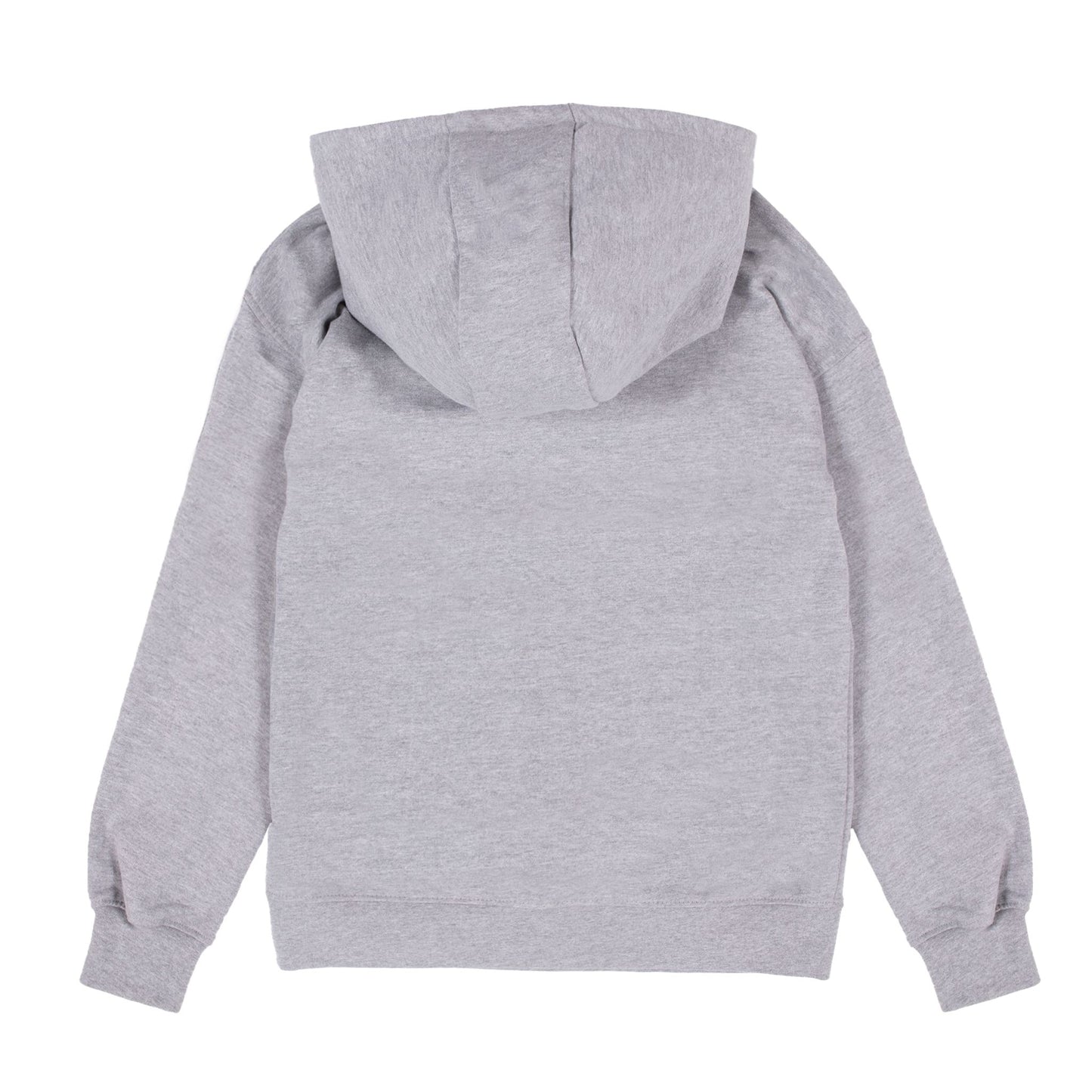 Chandail à capuchon Gris Chiné S22L51-01