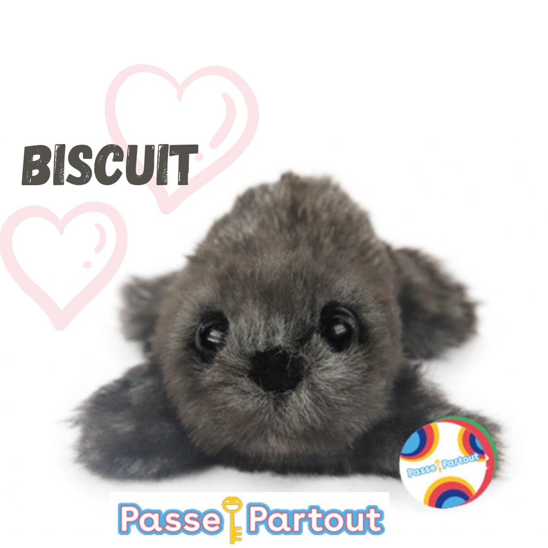 Biscuit (le toutou de Cannelle)