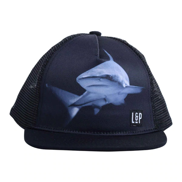 Casquette Requin / shark