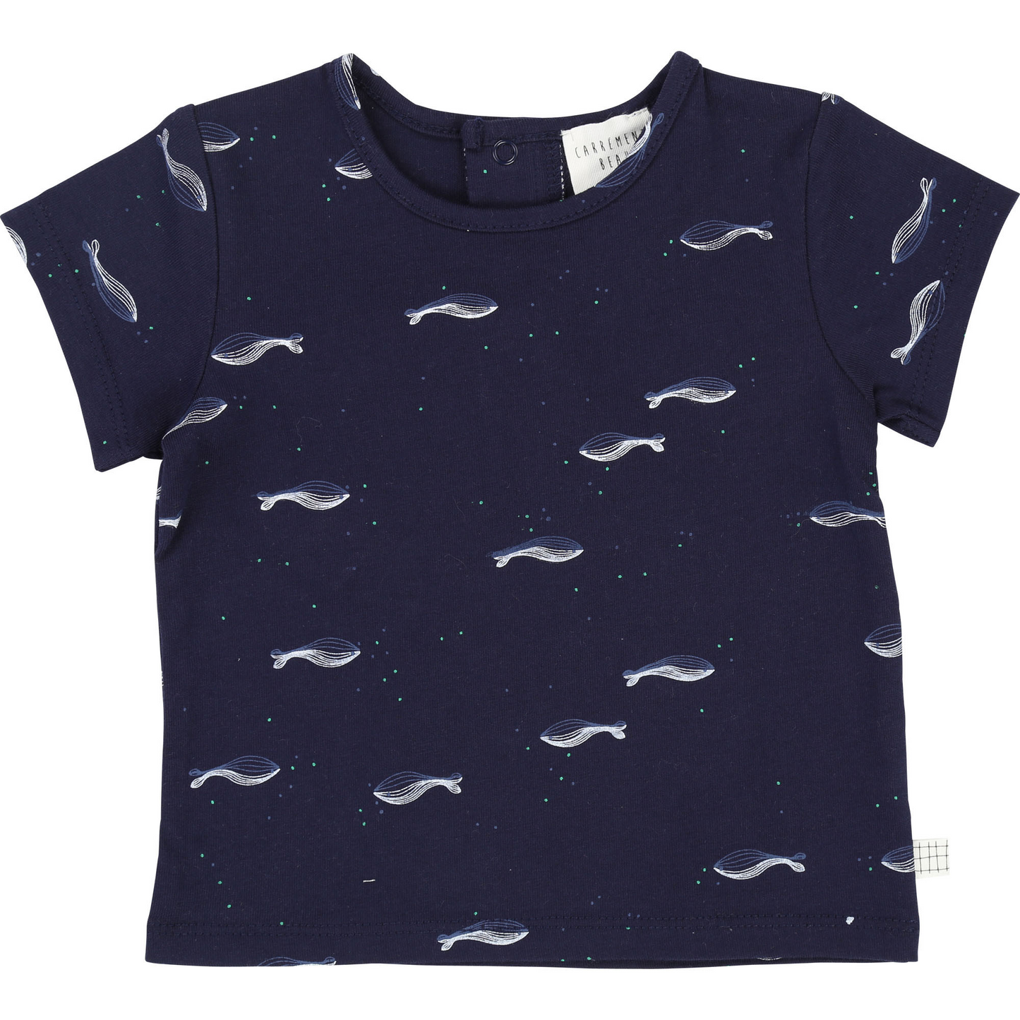 tshirt fish marine Y95155