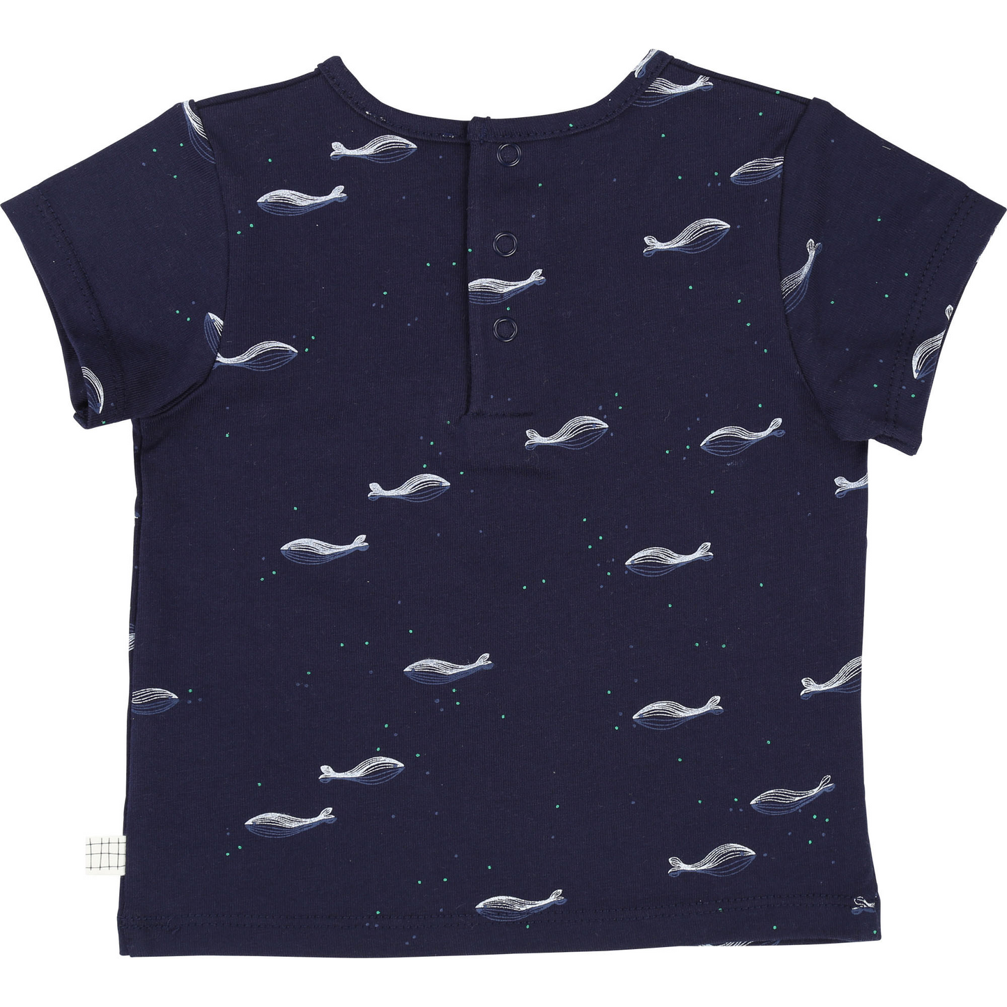 tshirt fish marine Y95155