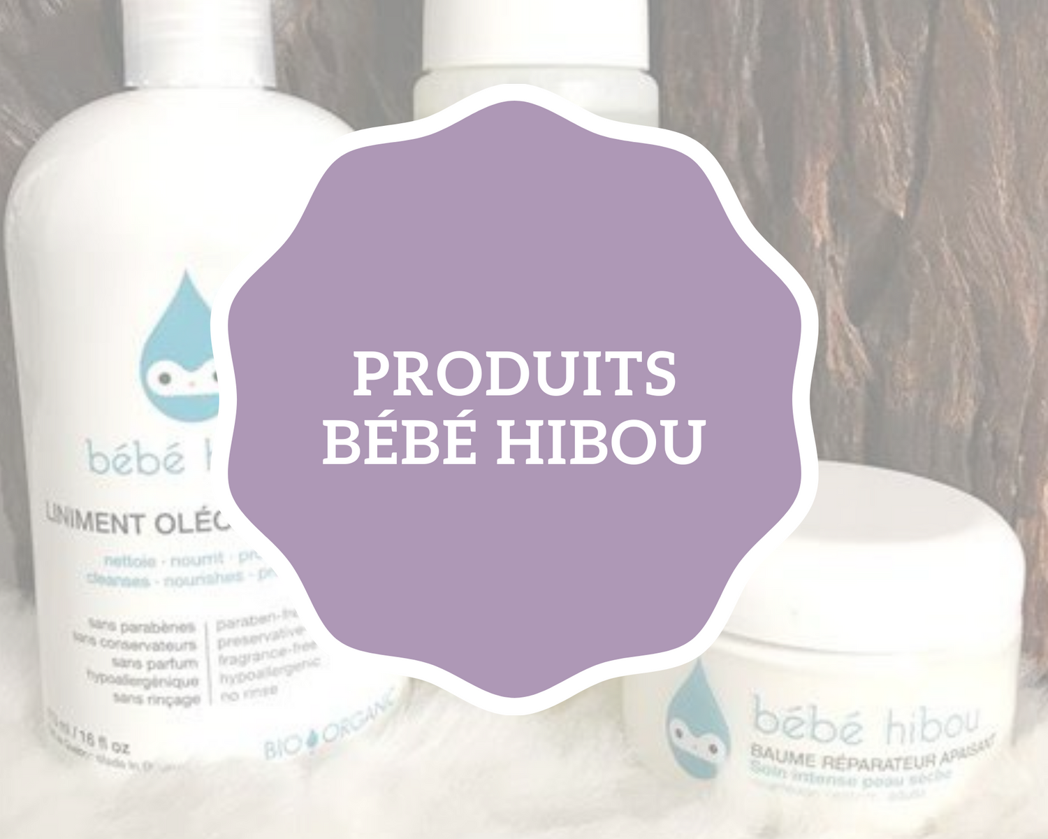 Bébé hibou