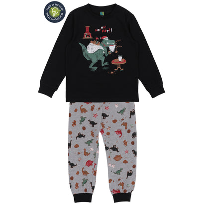 Pyjama Dino biscuits F25p13