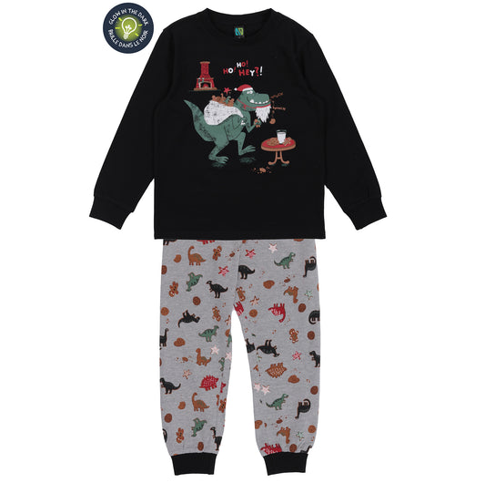 Pyjama Dino biscuits F25p13