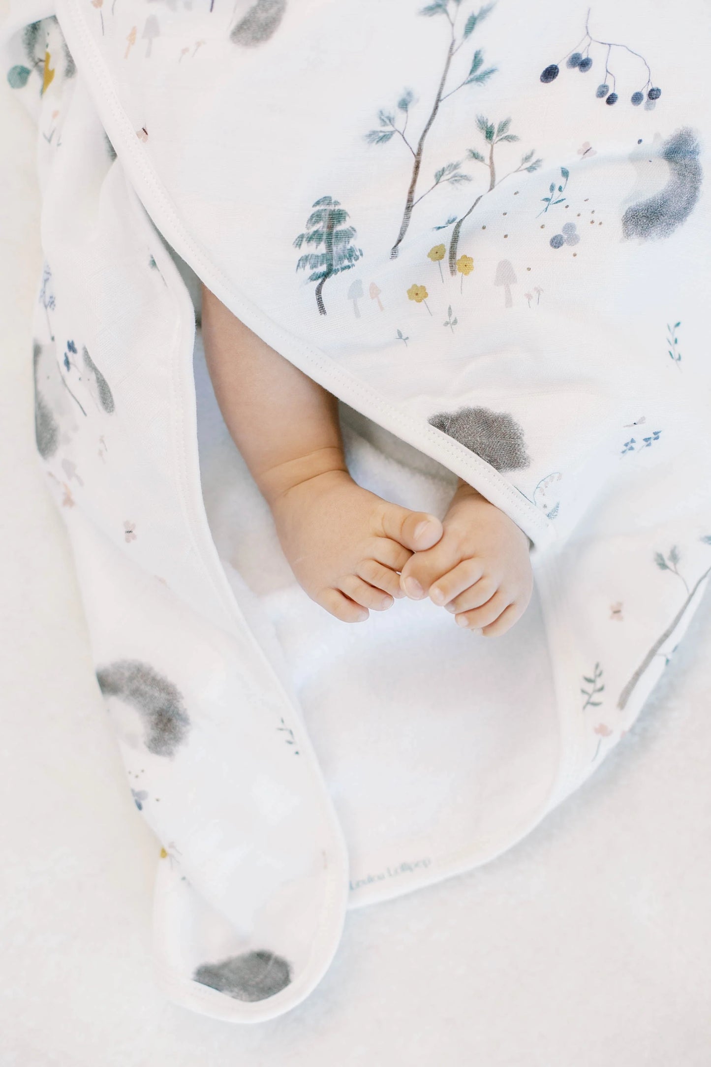 Ensemble Serviette à Capuchon - Hérissons - loulou lollipop