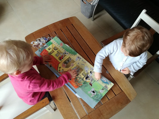 Jeu magnétique Ferme