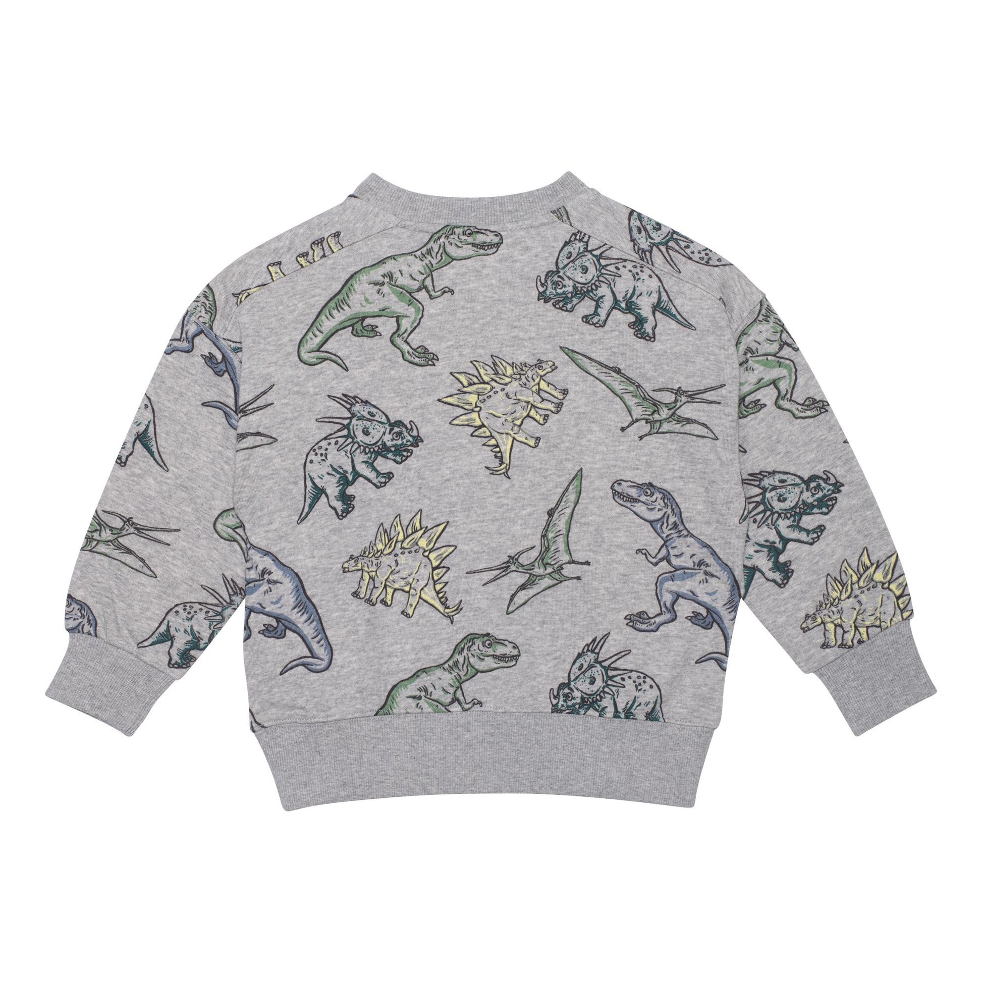 Boutique Petites Fleurs - Sweatshirt en molleton français gris pâle chiné avec imprimé de dinosaures E30U31 - Deux par Deux