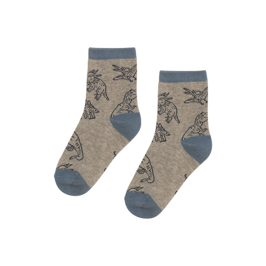 Boutique Petites Fleurs - Chaussettes gris pâle chiné avec imprimé de dinosaures E30YBS - Deux par Deux