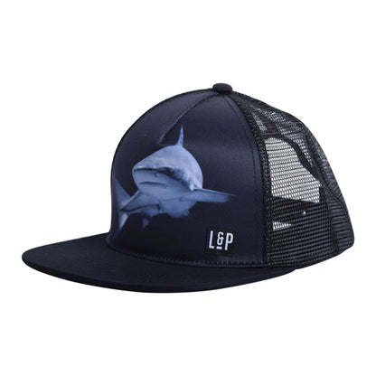 Casquette Requin / shark